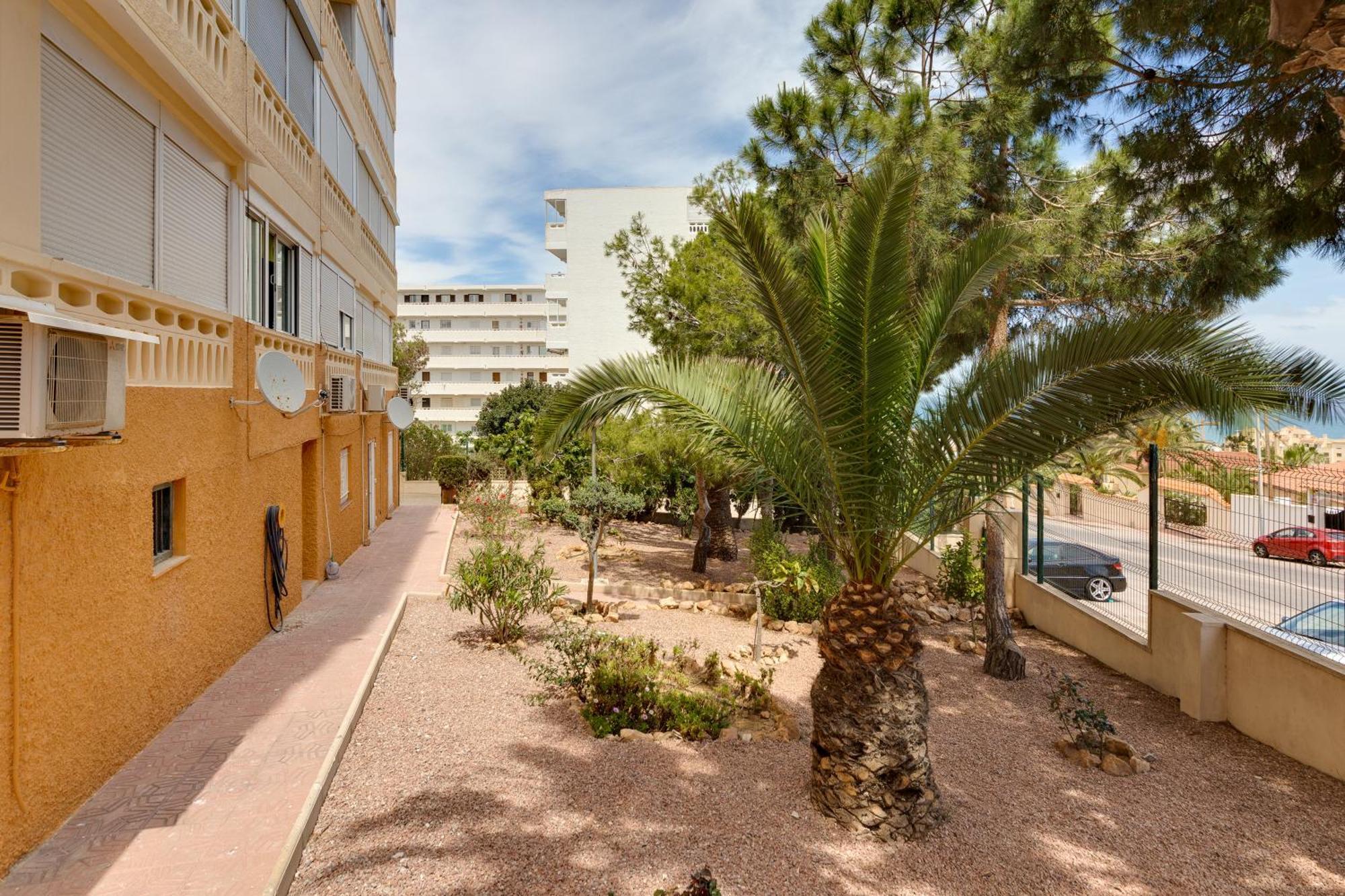 Estudio La Mata Torrevieja Ngoại thất bức ảnh